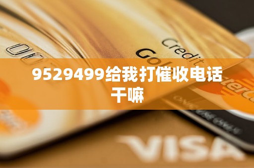 9529499给我打催收电话干嘛
