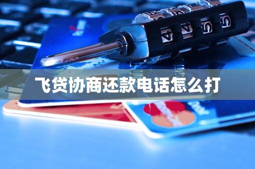 飞贷协商还款电话怎么打