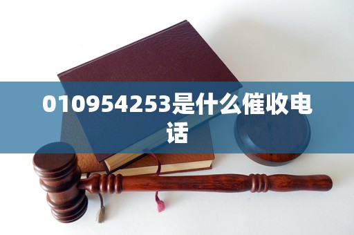 010954253是什么催收电话