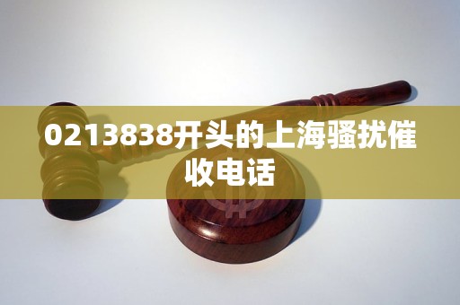 0213838开头的上海骚扰催收电话