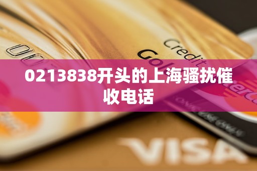 0213838开头的上海骚扰催收电话