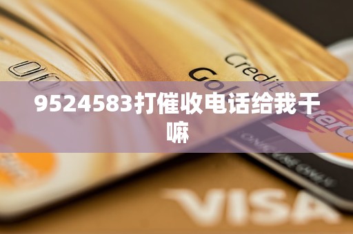 9524583打催收电话给我干嘛