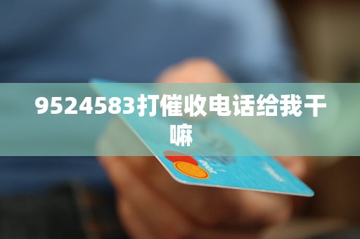9524583打催收电话给我干嘛