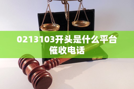 0213103开头是什么平台催收电话