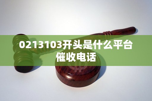 0213103开头是什么平台催收电话