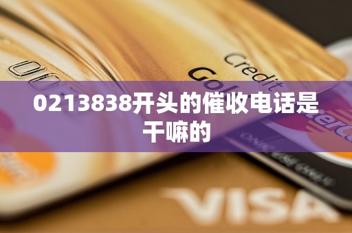 0213838开头的催收电话是干嘛的