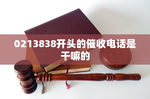 0213838开头的催收电话是干嘛的
