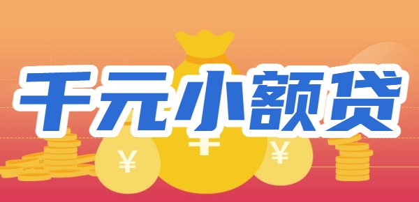 1000元的小额贷款必过