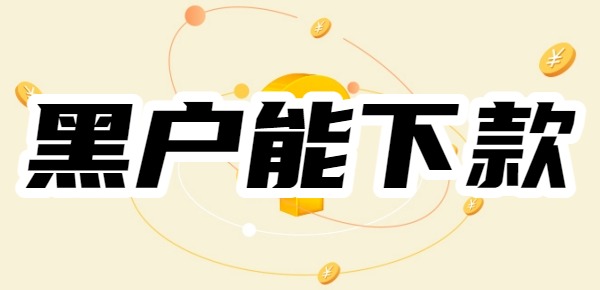 十大黑户能下款的网贷