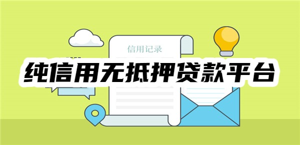 纯信用无抵押贷款平台有哪些